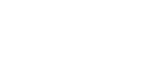 Sonax